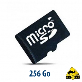 Carte micro SD - 256 GB